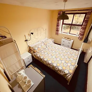 Ladybarn Lane, Homestay